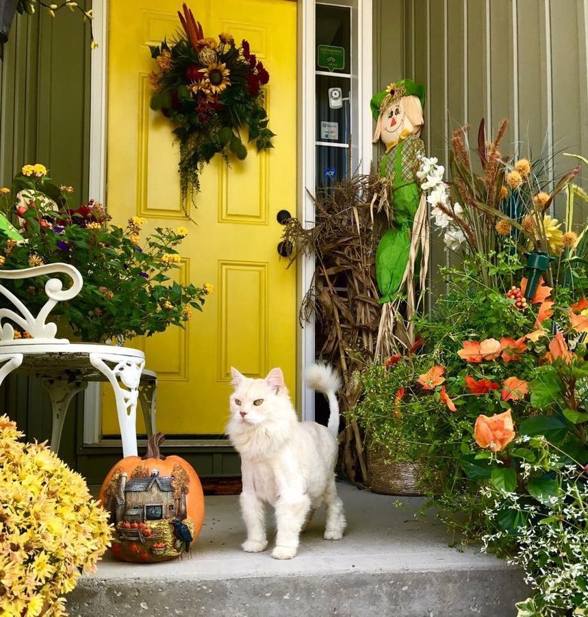Yellow Door Bed And Breakfast Fort Erie Extérieur photo