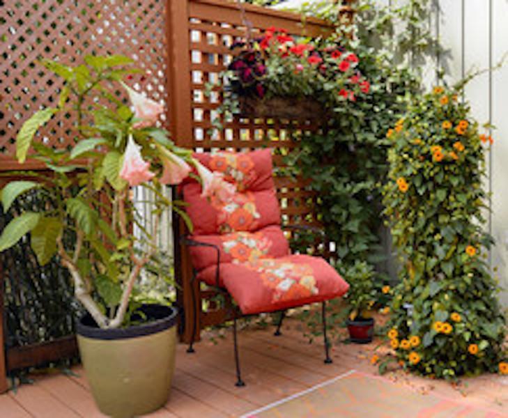 Yellow Door Bed And Breakfast Fort Erie Extérieur photo